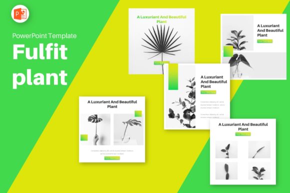 Download Instagram Feed - Fulfit Plant - Instagram Collection